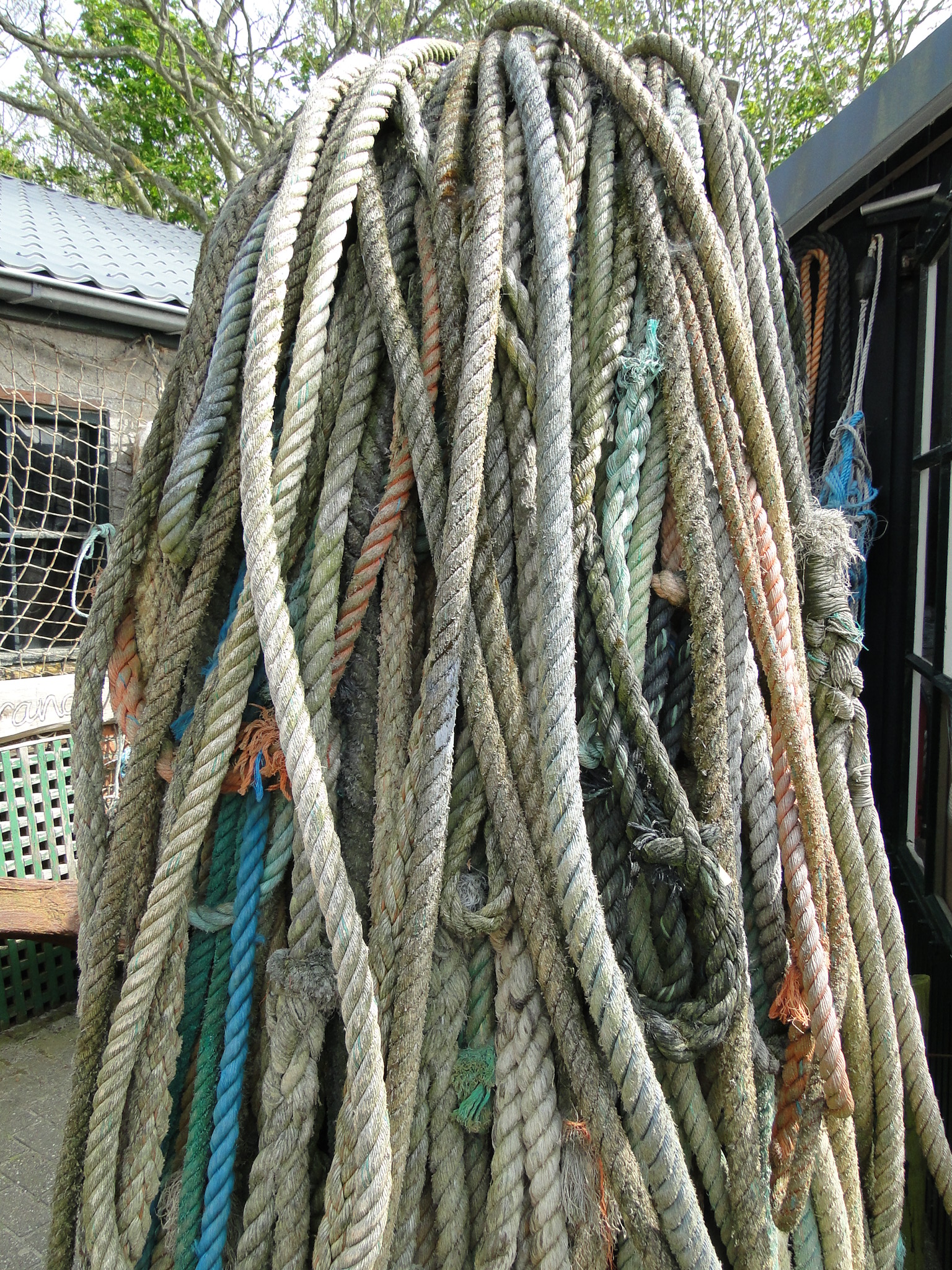 HWK Texel 323.jpg
